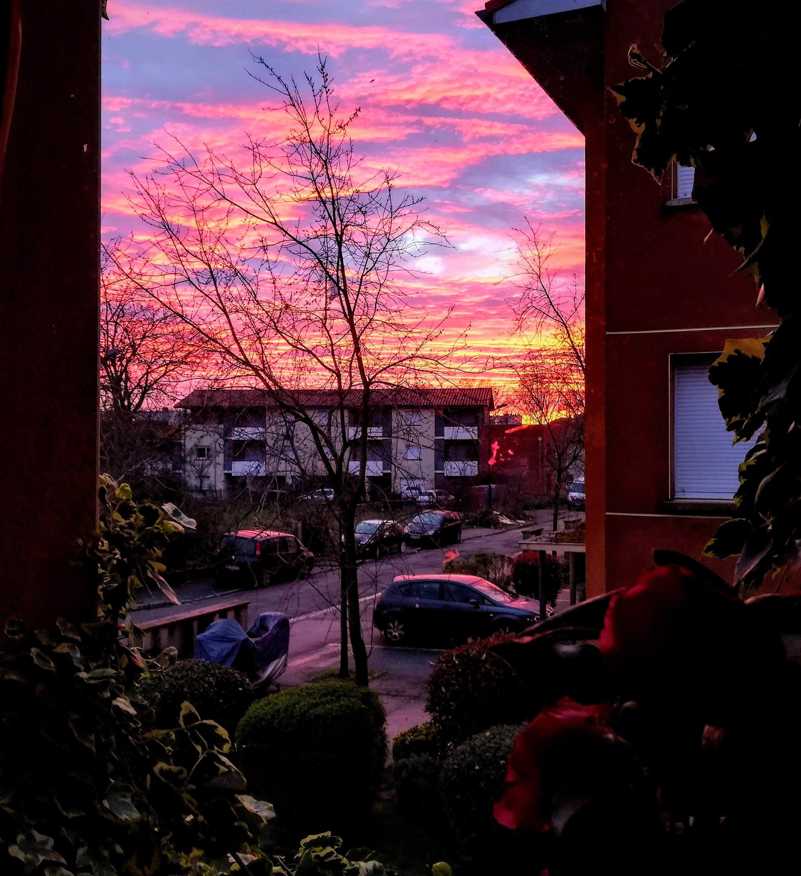 Concours photo - JJ.GUIRADO - 3-11-2021.jpg