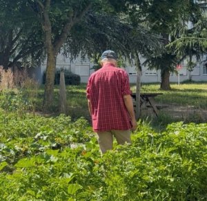Jardin partagé de la résidence Le Polygone