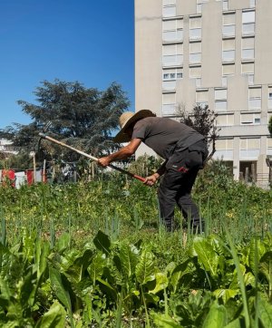 Jardin partagé à la Polygone