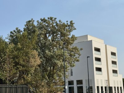 Coeur Saint-Martin - Visites logements témoins