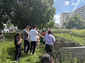 Deuxjardins,del’ambiance!