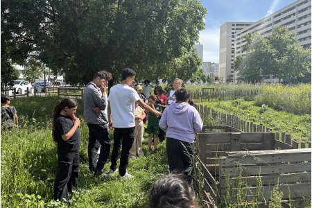 🌿Deux jardins, de l’ambiance !