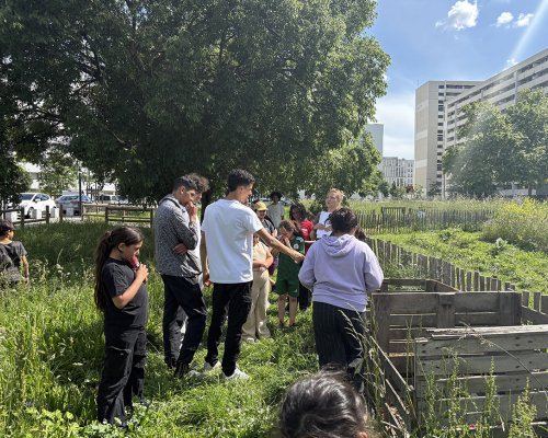 🌿Deux jardins, de l’ambiance !