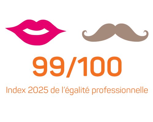 INDEX DE L’ÉGALITÉ PROFESSIONNELLE