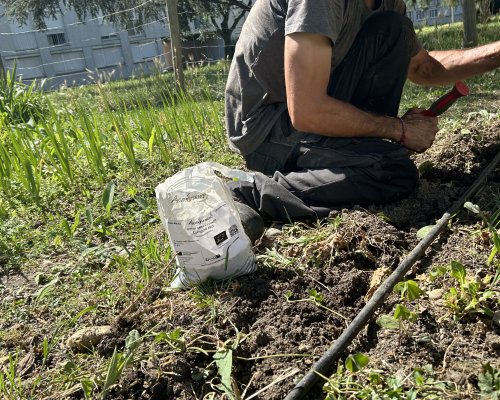 Au cœur du jardin partagé du « Le Polygone » ! 🌿
