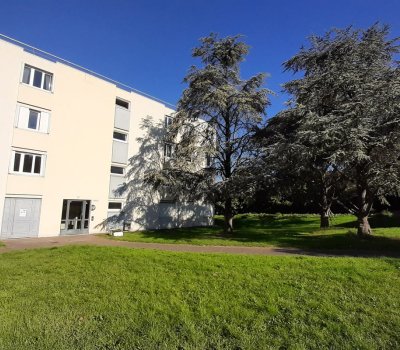 TOULOUSE - CROIX DAURADE - 0083-10-0115