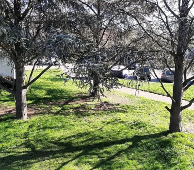 TOULOUSE - CROIX DAURADE - 0083-10-0116