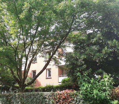 TOULOUSE - LIMAYRAC - 0190-01-0013