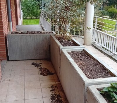 SAINT CYPRIEN BOURRASSOL