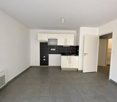 T3 - JARDIN - ORMEAU
