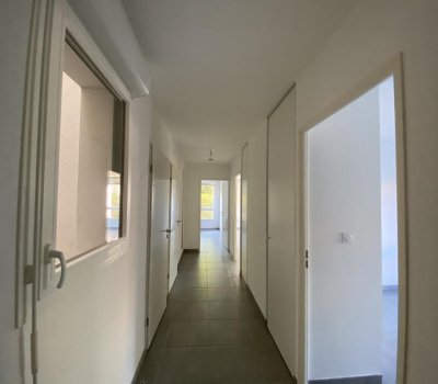 T3 - JARDIN - ORMEAU