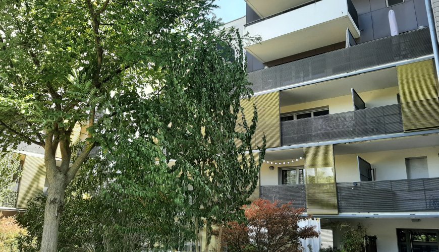 LES TERRASSES DE L'HERS