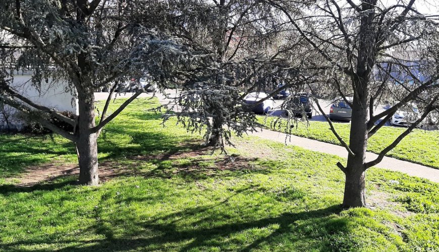 TOULOUSE - CROIX DAURADE - 0083-10-0116