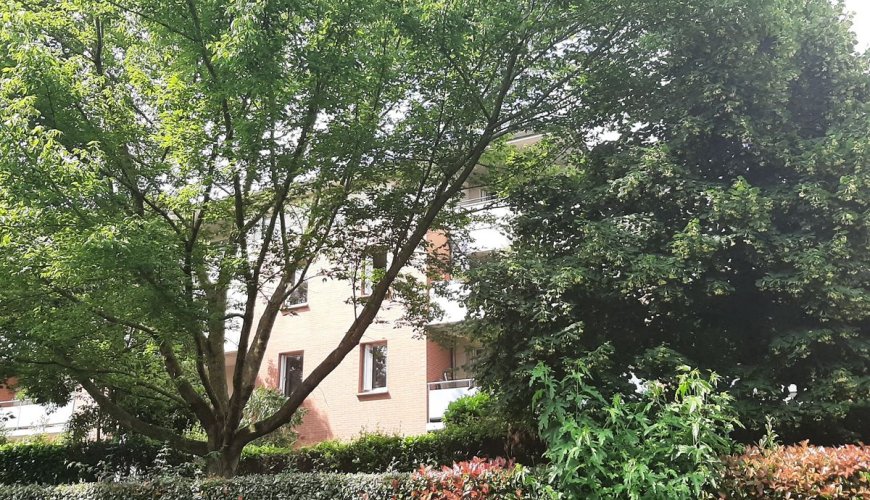 TOULOUSE - LIMAYRAC - 0190-01-0013