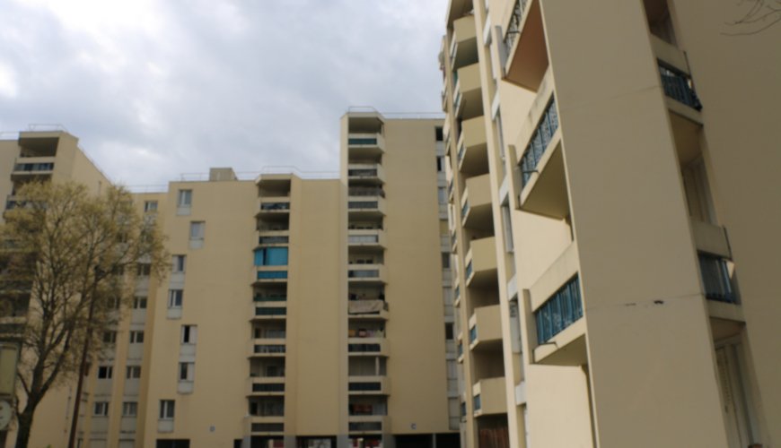 0178-PAPUS MIRAIL-CN