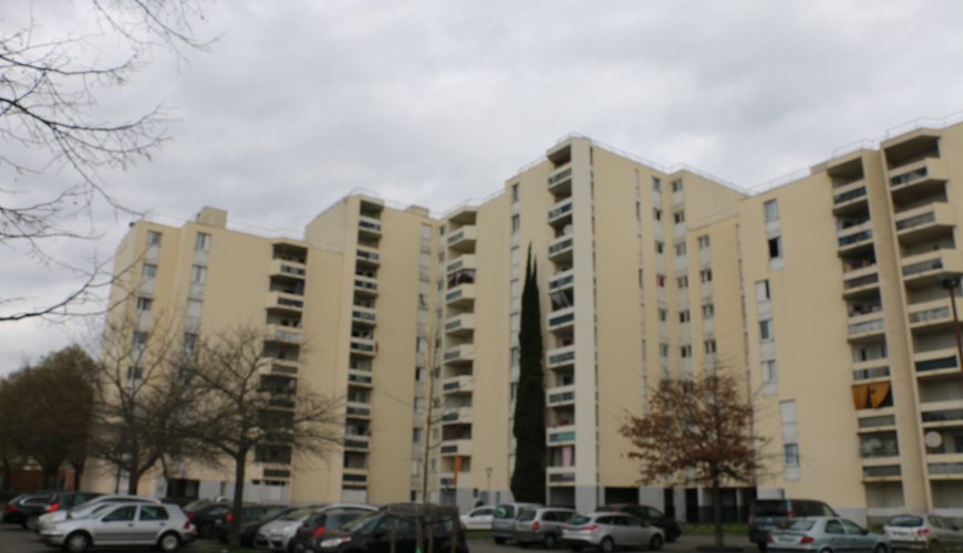 0178-PAPUS MIRAIL-CN