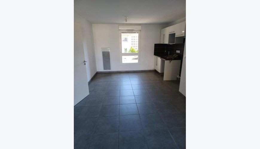 T3 L'ORMEAU