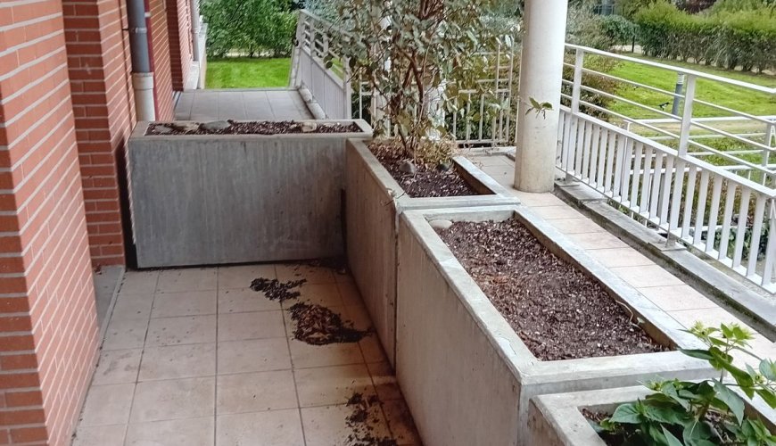 SAINT CYPRIEN BOURRASSOL