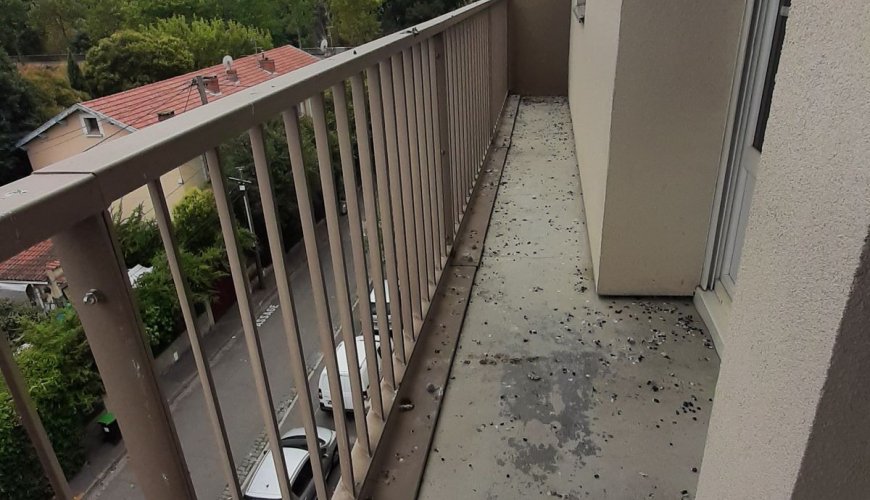 TOULOUSE SEPT DENIERS - T6 - A VENDRE