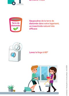 Lutter contre les punaises de lit